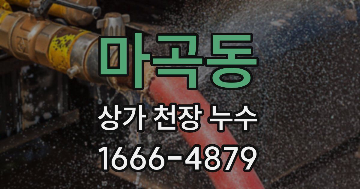 마곡동 상가 천장 누수