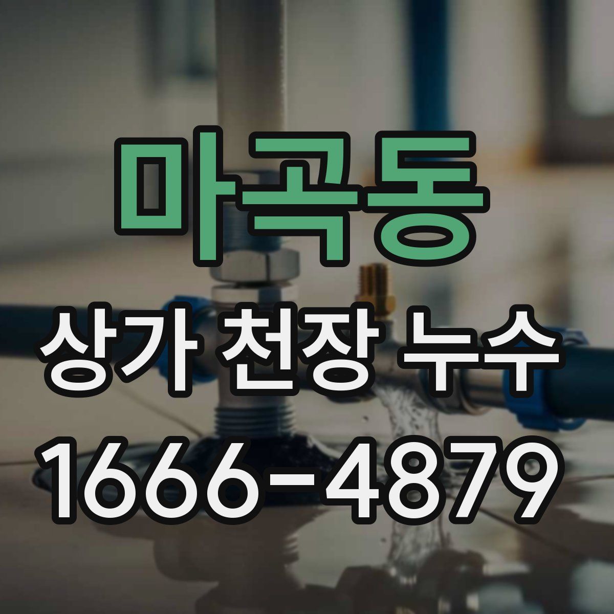 마곡동 상가 천장 누수