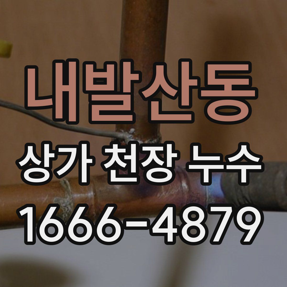 내발산동 상가 천장 누수