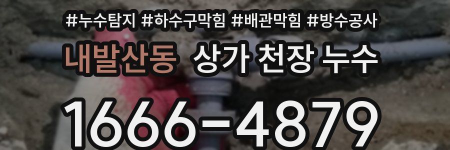 내발산동 상가 천장 누수