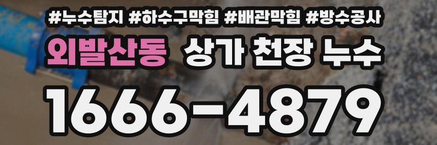 외발산동 상가 천장 누수