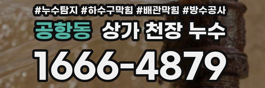 공항동 상가 천장 누수