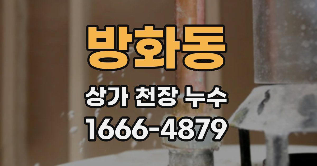 방화동 상가 천장 누수
