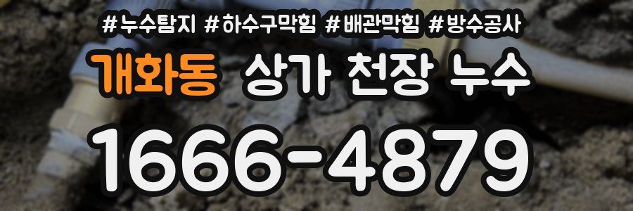 개화동 상가 천장 누수