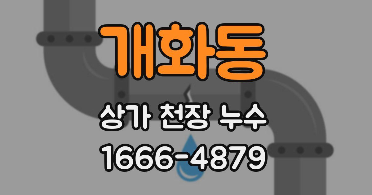 개화동 상가 천장 누수