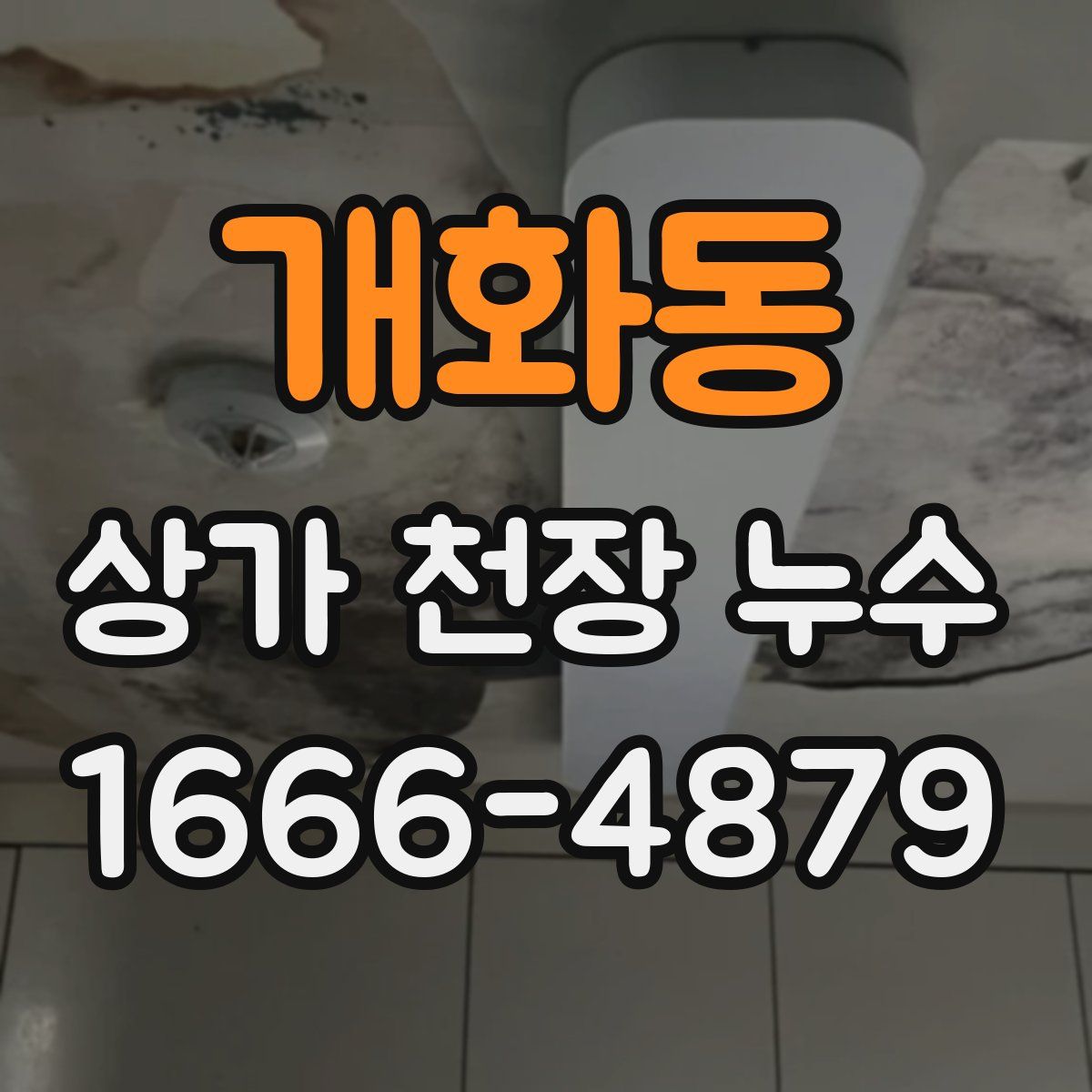 개화동 상가 천장 누수