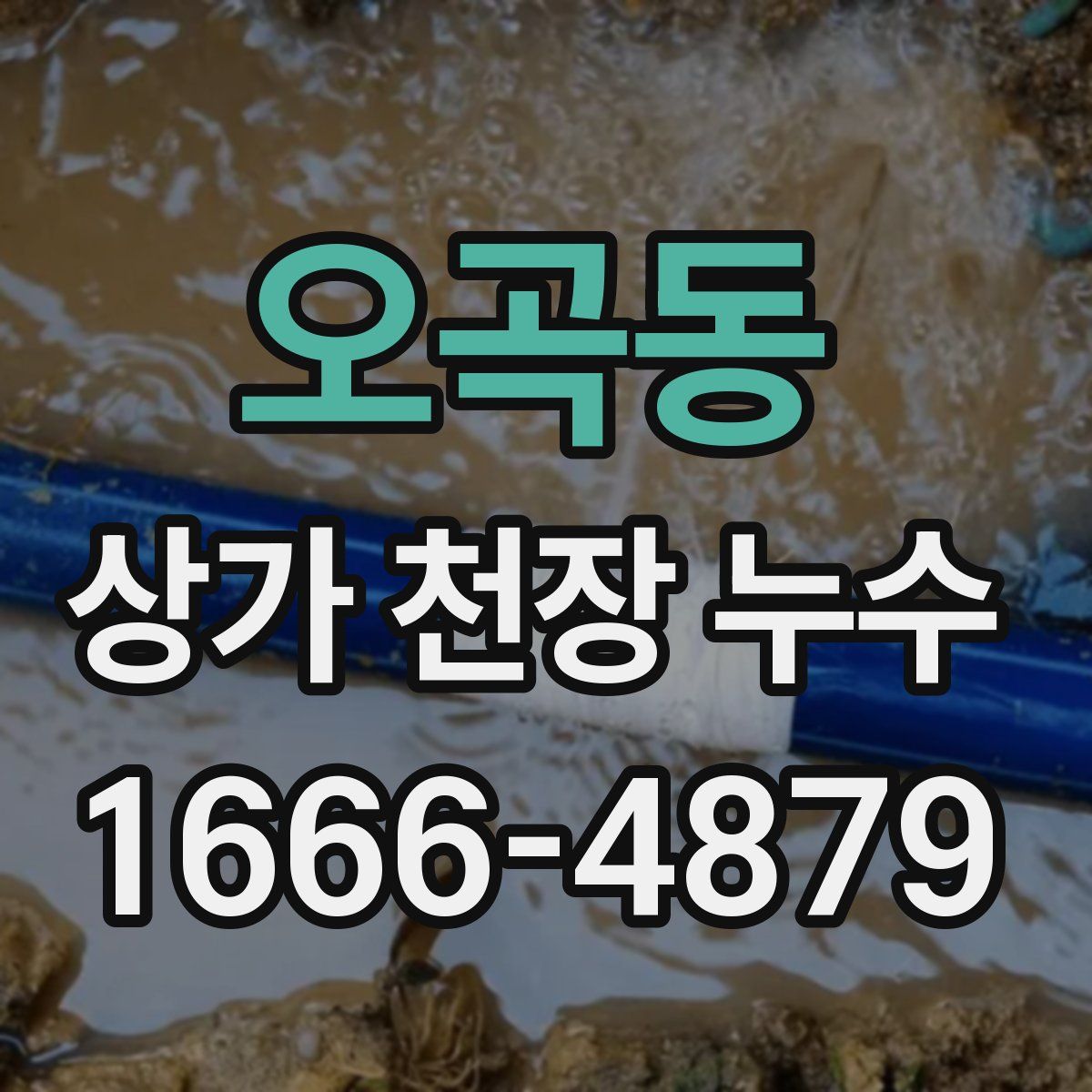 오곡동 상가 천장 누수