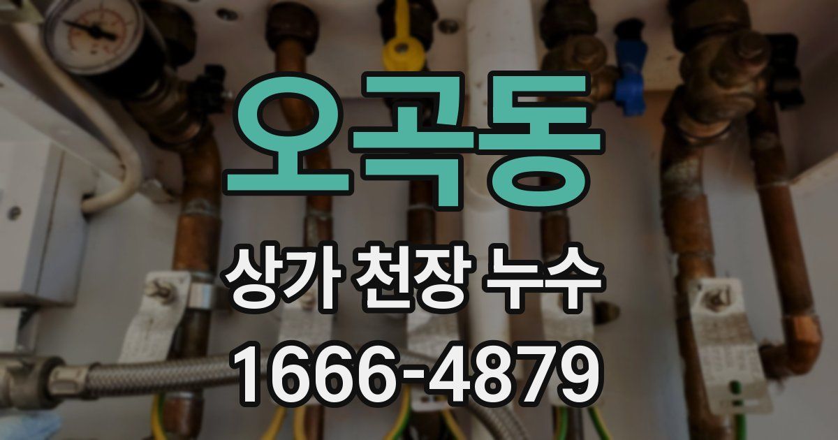 오곡동 상가 천장 누수