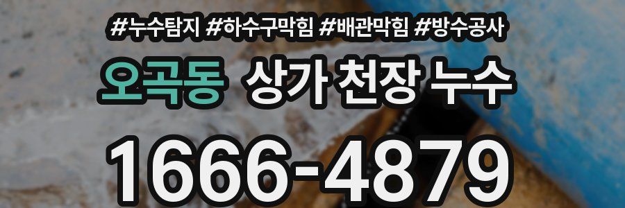오곡동 상가 천장 누수