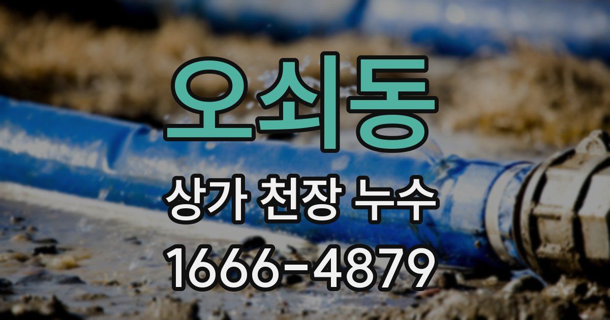 오쇠동 상가 천장 누수