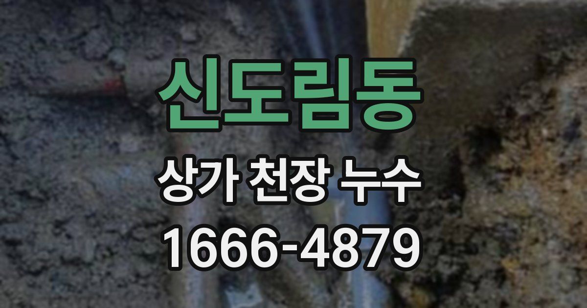 신도림동 상가 천장 누수