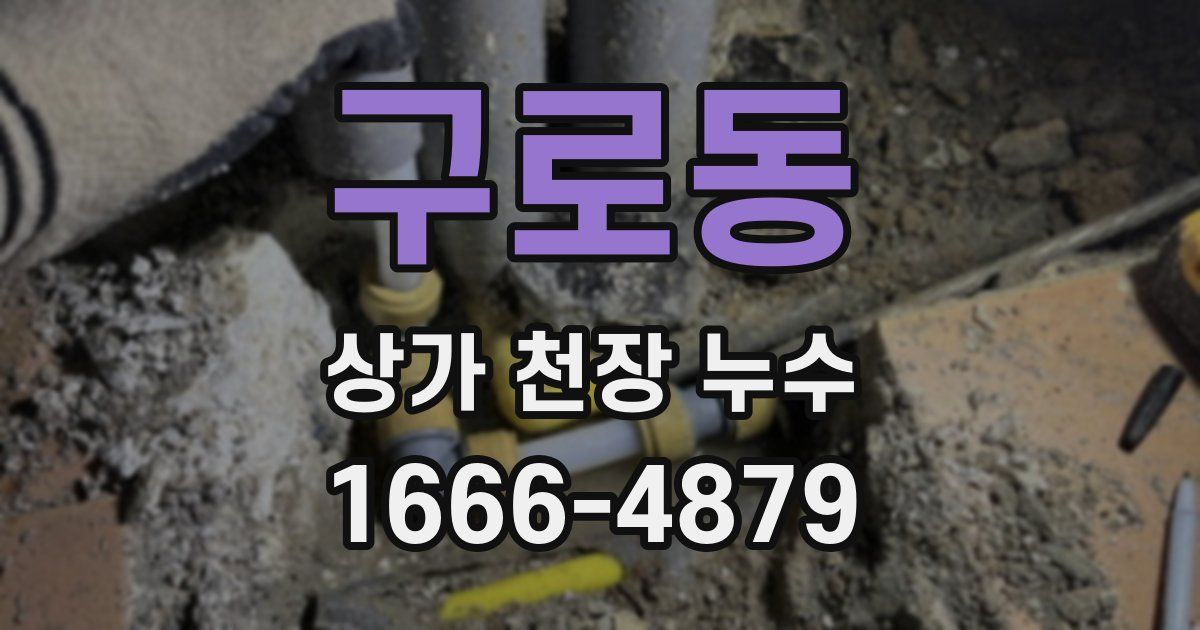 구로동 상가 천장 누수