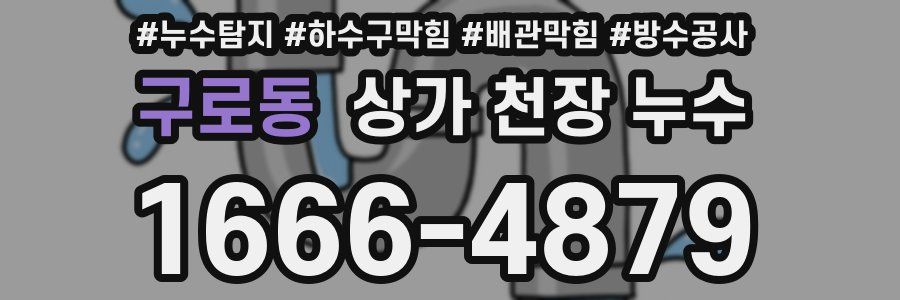 구로동 상가 천장 누수