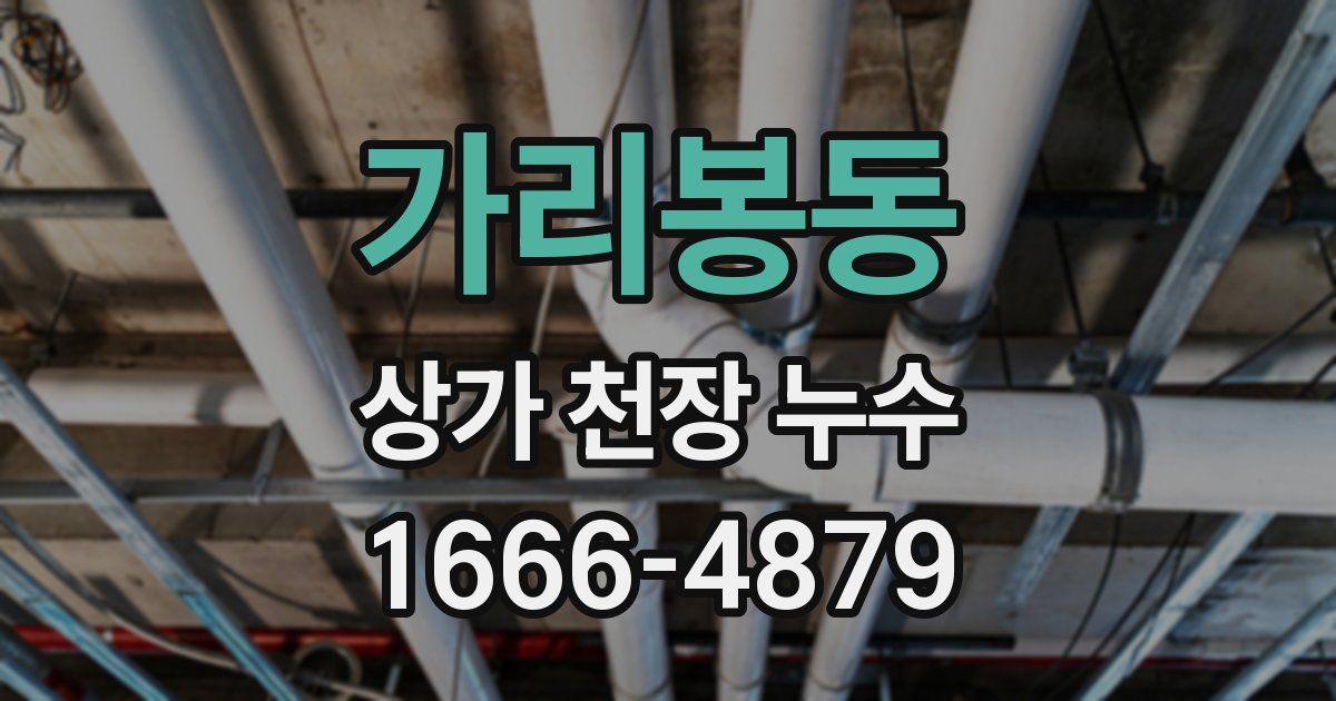 가리봉동 상가 천장 누수