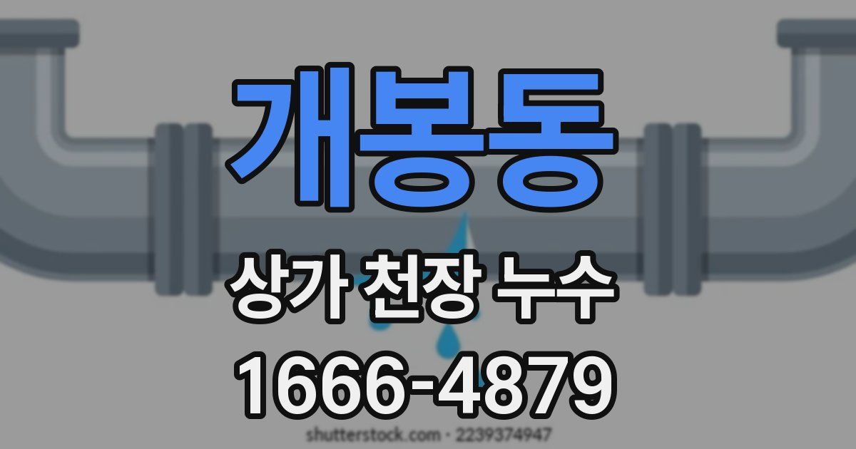 개봉동 상가 천장 누수