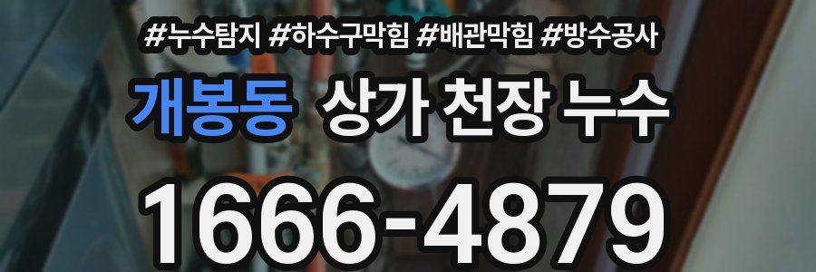 개봉동 상가 천장 누수