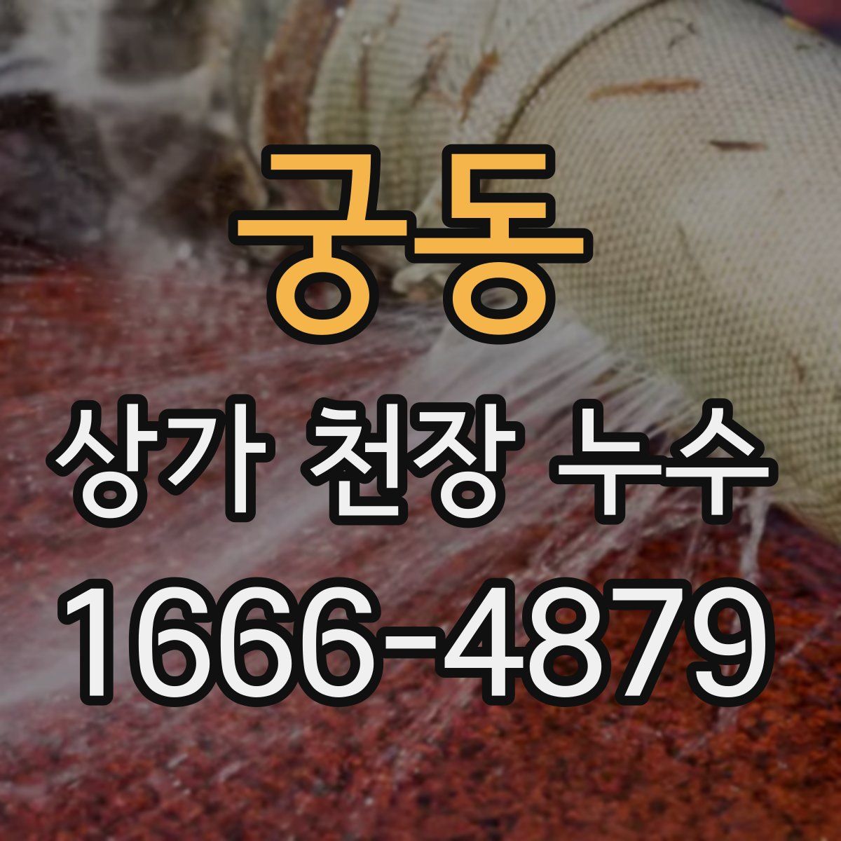 궁동 상가 천장 누수