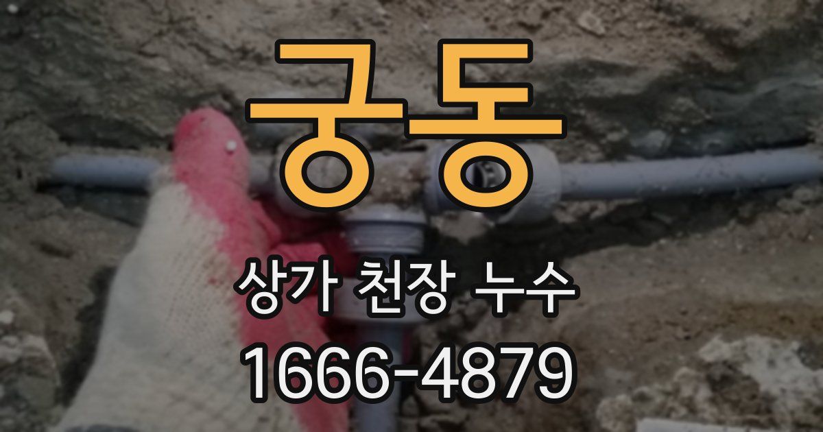 궁동 상가 천장 누수