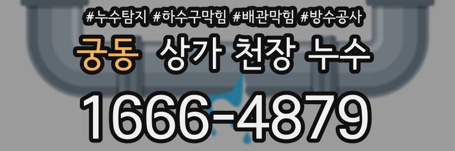 궁동 상가 천장 누수