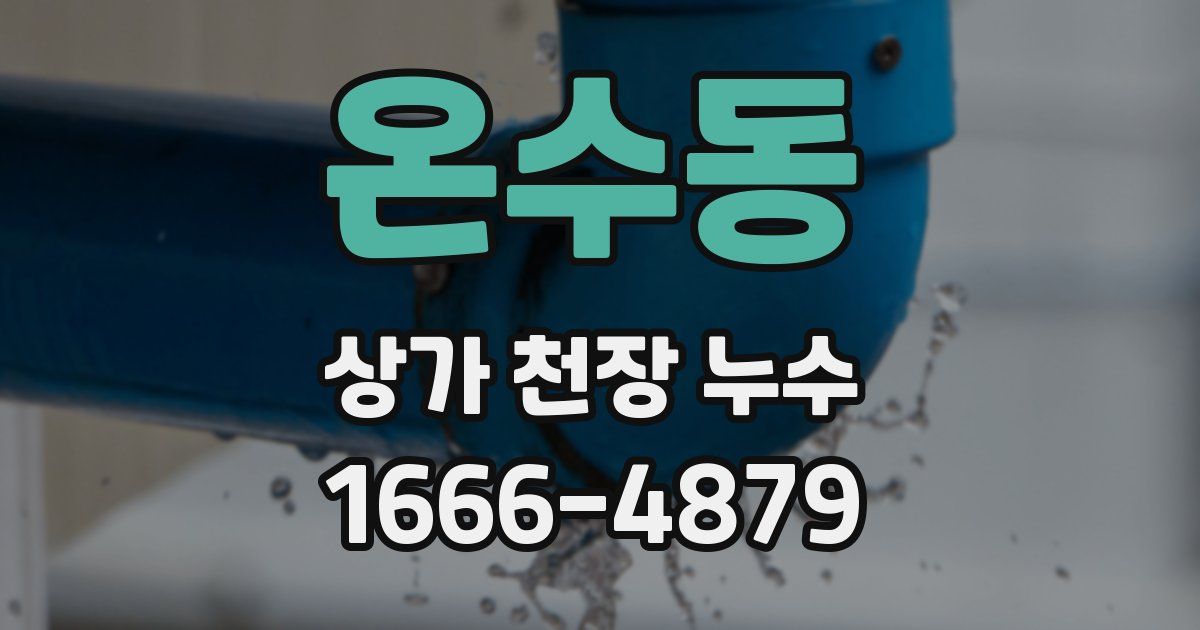 온수동 상가 천장 누수