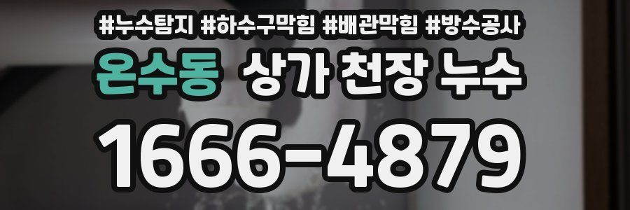 온수동 상가 천장 누수