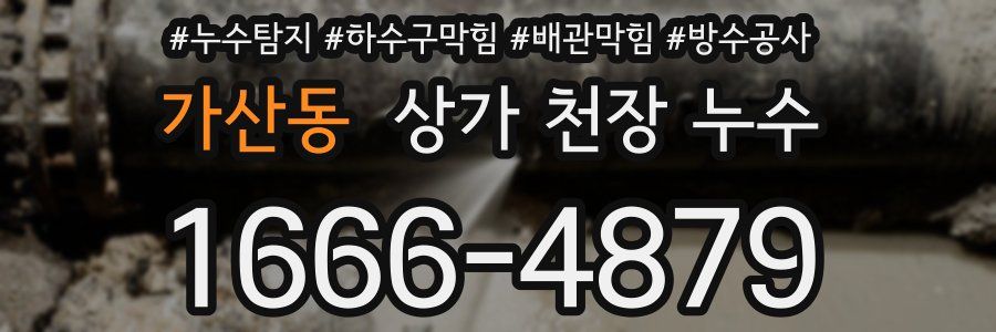 가산동 상가 천장 누수