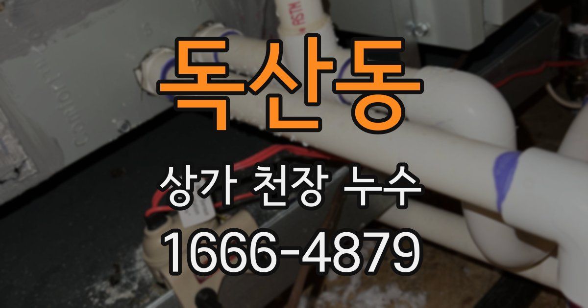 독산동 상가 천장 누수
