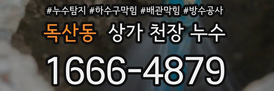 독산동 상가 천장 누수