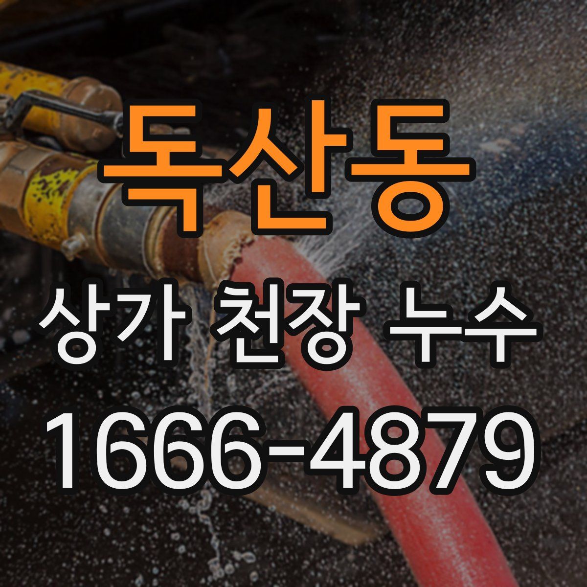 독산동 상가 천장 누수