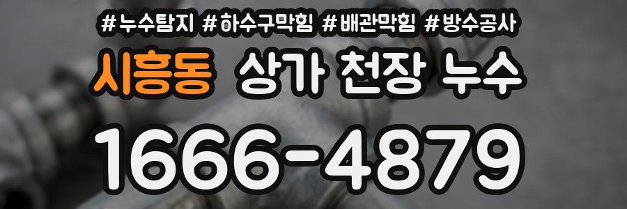 시흥동 상가 천장 누수
