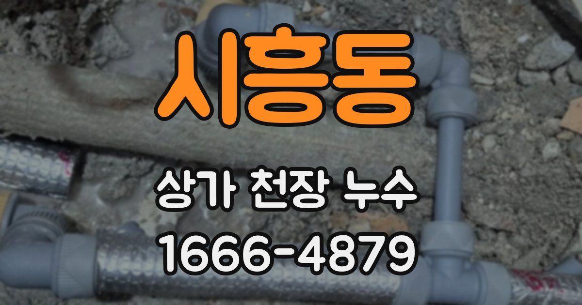 시흥동 상가 천장 누수