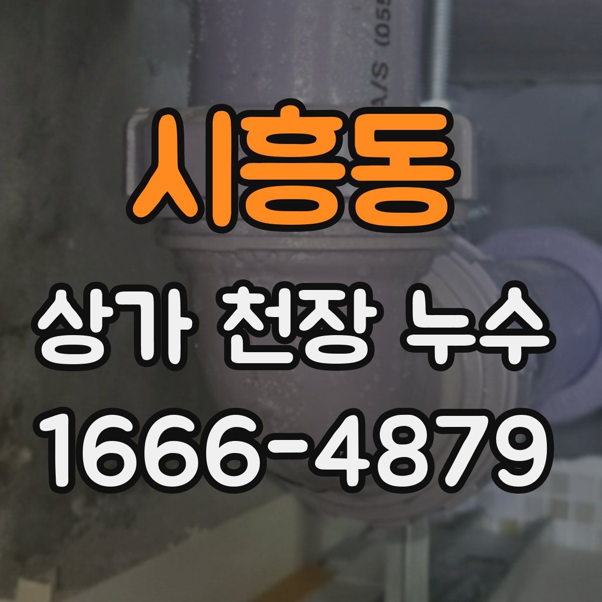 시흥동 상가 천장 누수