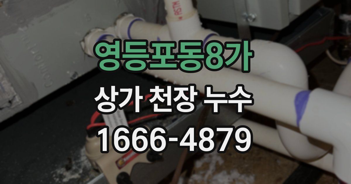 영등포동8가 상가 천장 누수