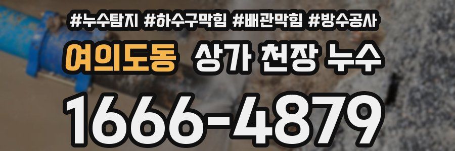 여의도동 상가 천장 누수