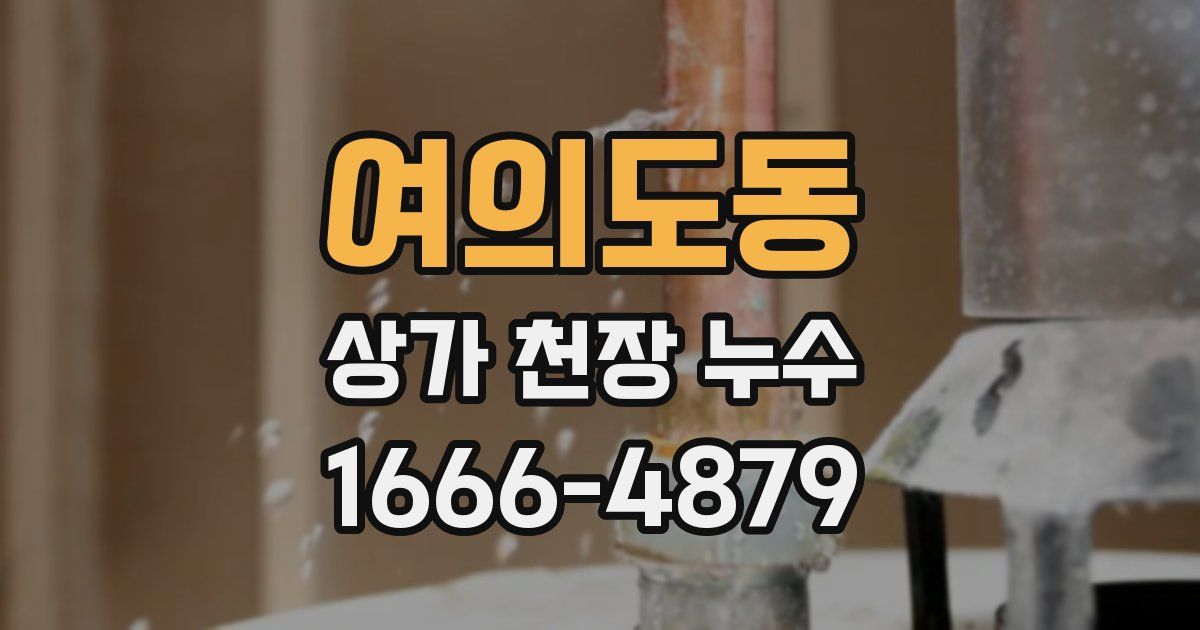 여의도동 상가 천장 누수