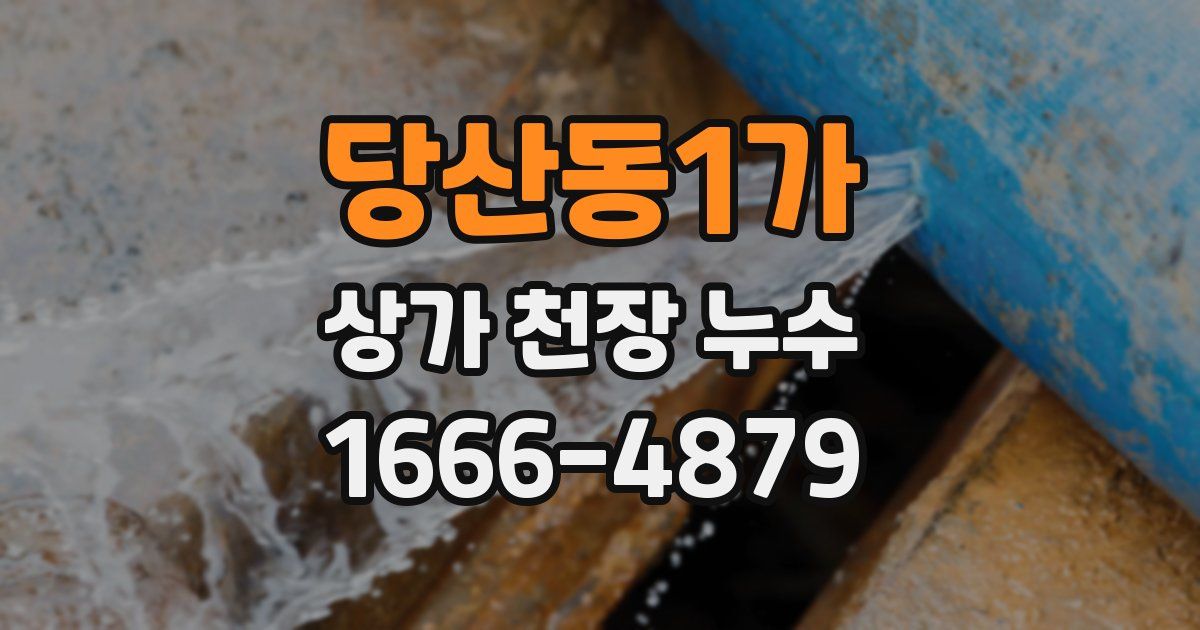 당산동1가 상가 천장 누수