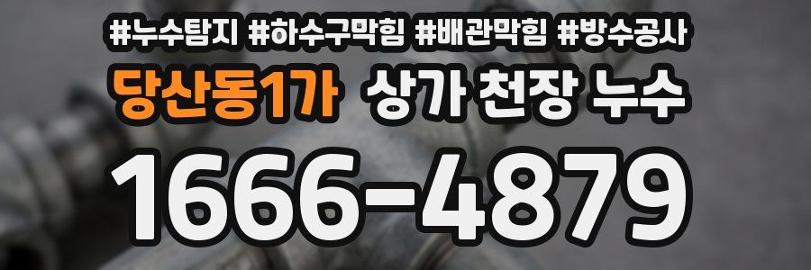 당산동1가 상가 천장 누수