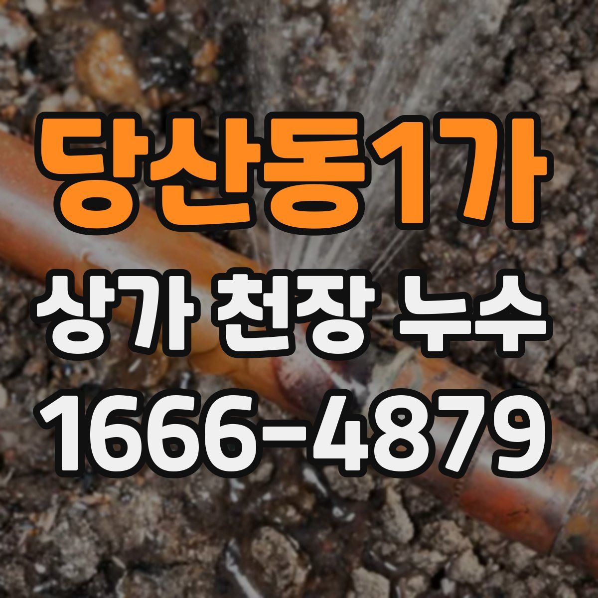 당산동1가 상가 천장 누수
