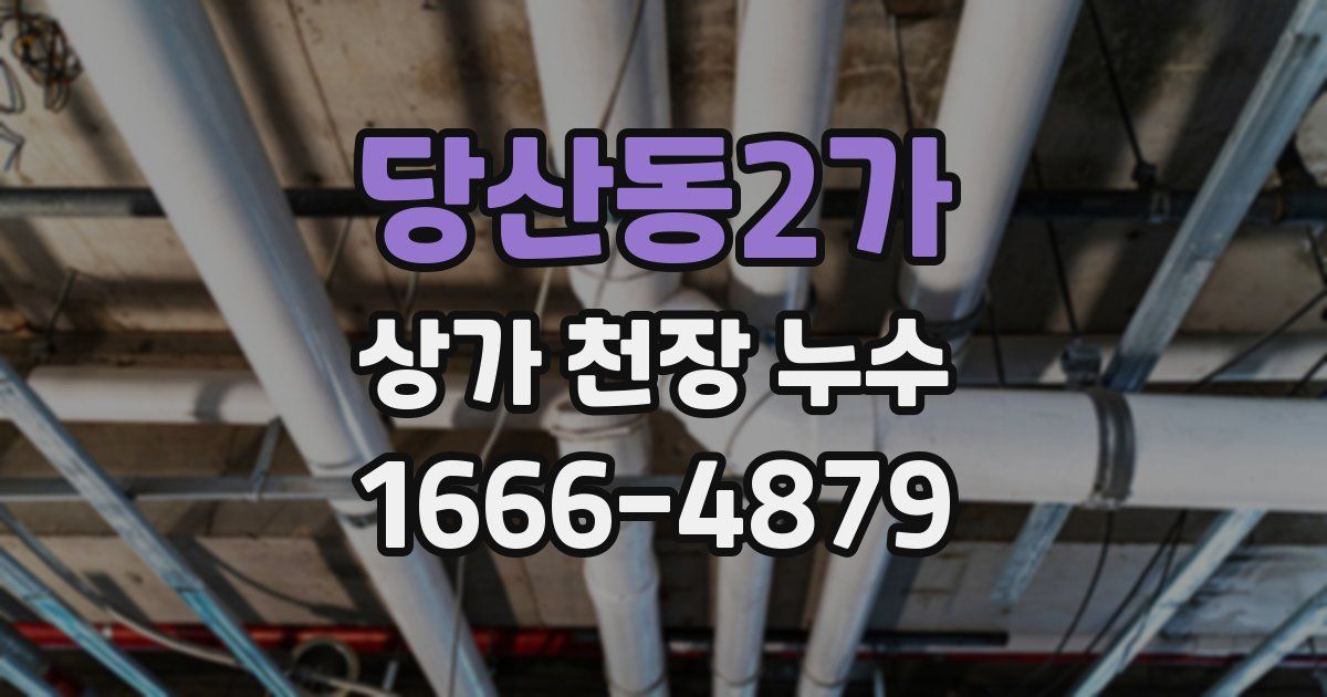 당산동2가 상가 천장 누수