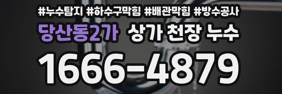 당산동2가 상가 천장 누수