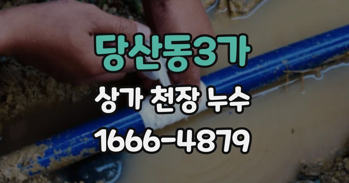 당산동3가 상가 천장 누수