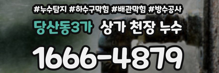 당산동3가 상가 천장 누수