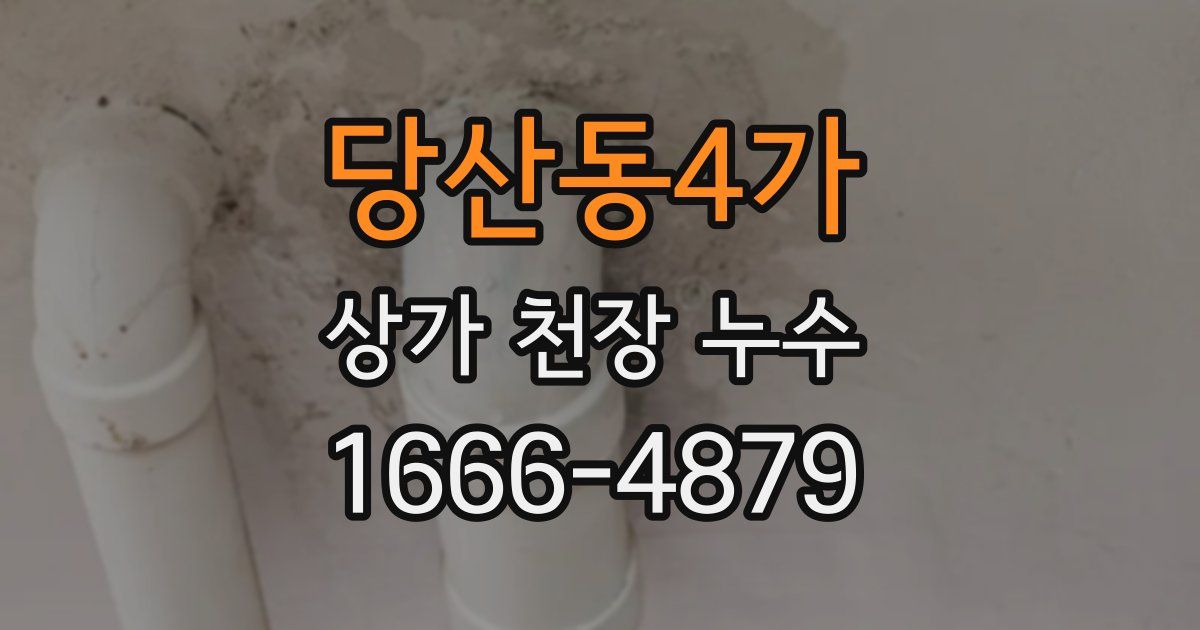 당산동4가 상가 천장 누수