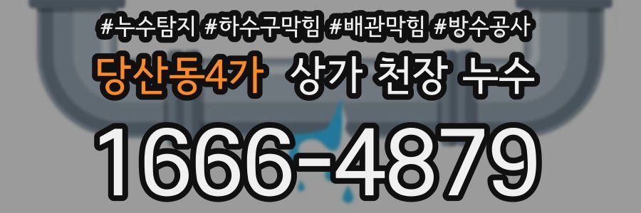 당산동4가 상가 천장 누수