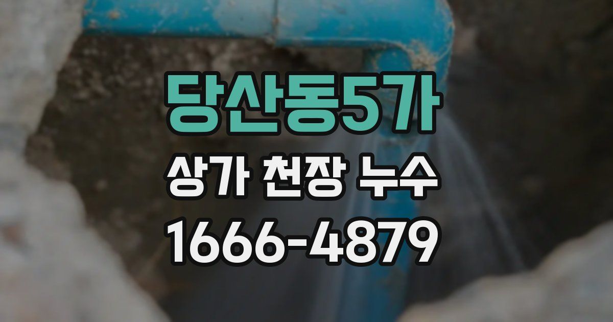 당산동5가 상가 천장 누수