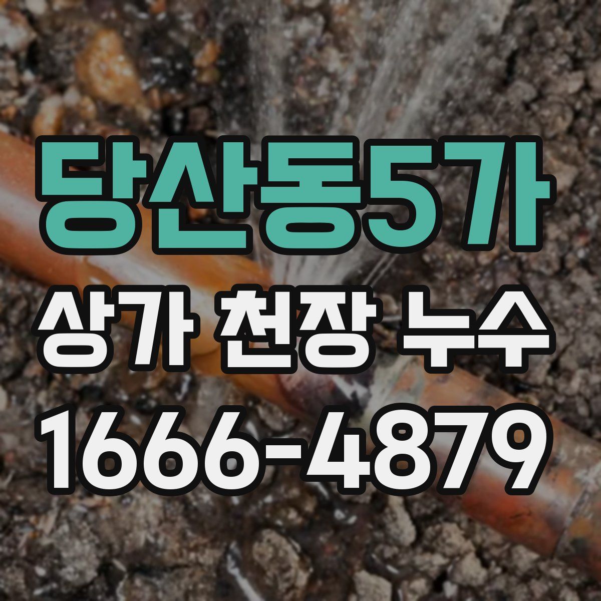 당산동5가 상가 천장 누수