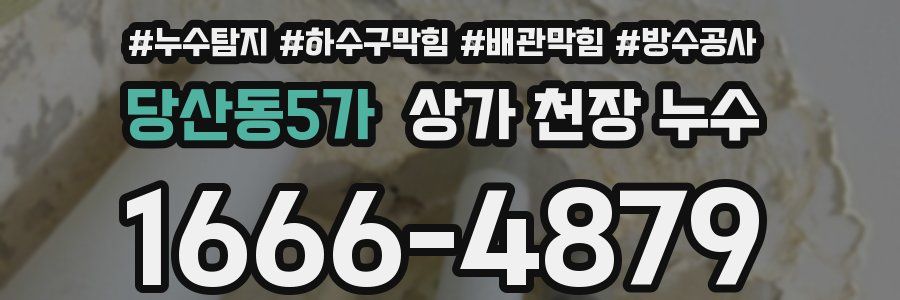 당산동5가 상가 천장 누수