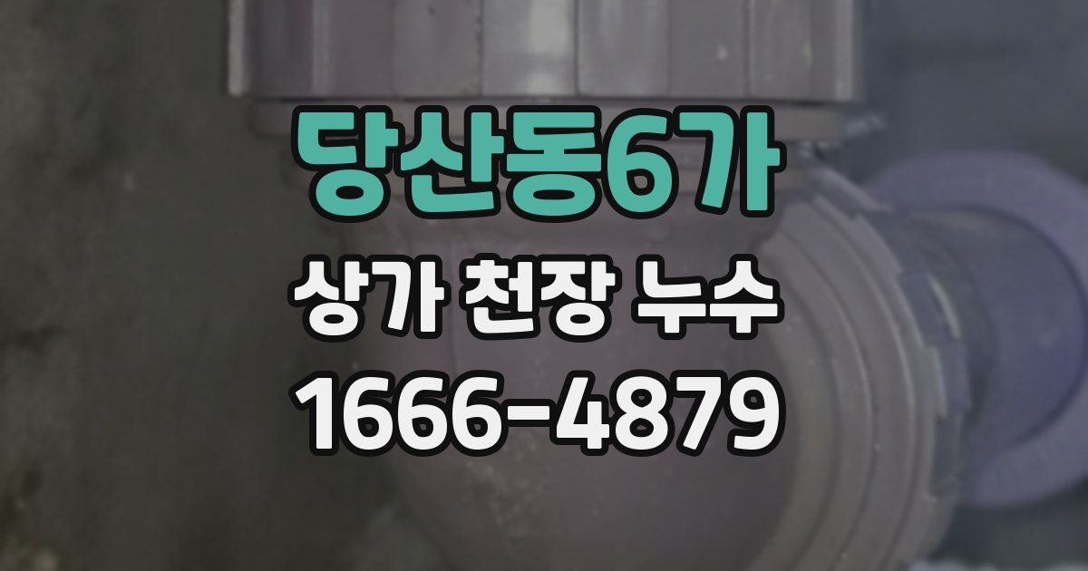 당산동6가 상가 천장 누수