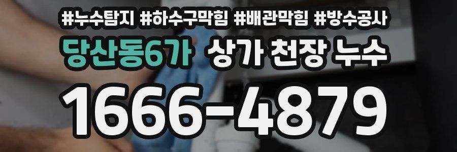 당산동6가 상가 천장 누수