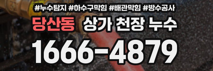 당산동 상가 천장 누수